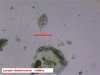Diapositive9